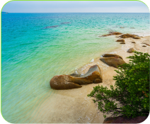 Beach Cleanup Initiative